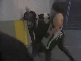 sting-vs-dogs-close-up.gif