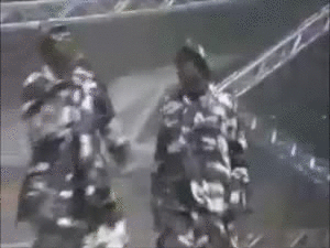nls08.gif