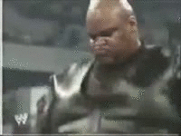 vis12.gif