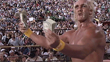 hoganmoney.gif
