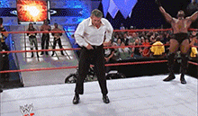 vincearoonie.gif