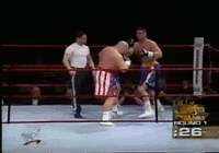 piperbagwell05.gif