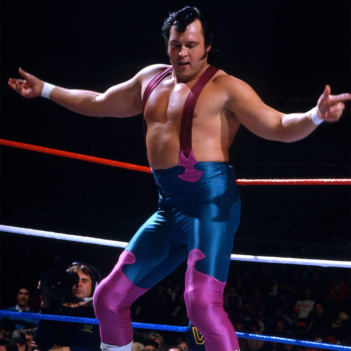 honky tonk man net worth