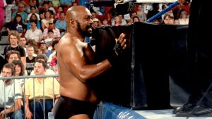 Worst WWF Gimmicks, Matches and Angles: WrestleCrap Inductions