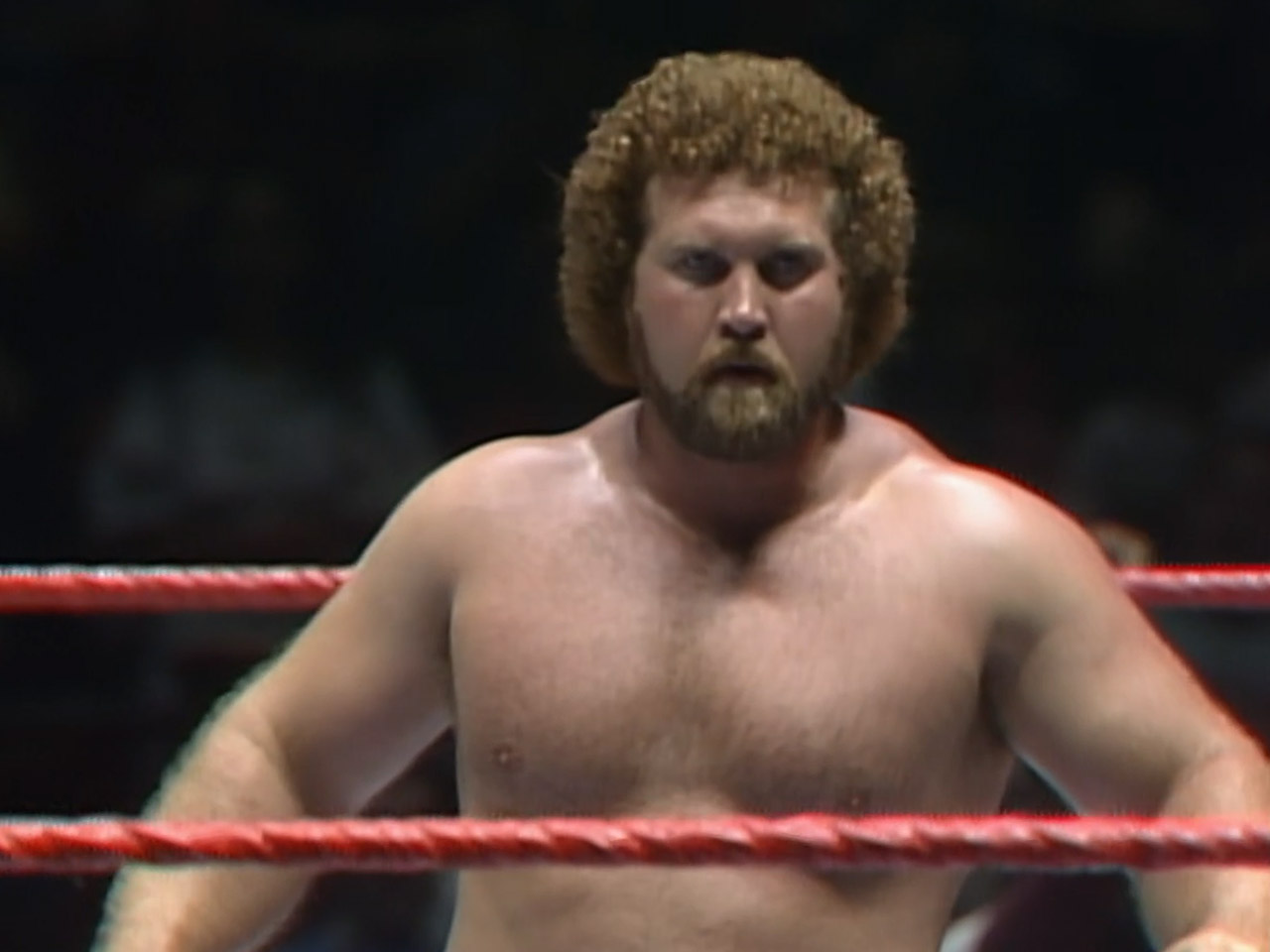 Dave Barbie WrestleCrap restoring-a-deleted-profile