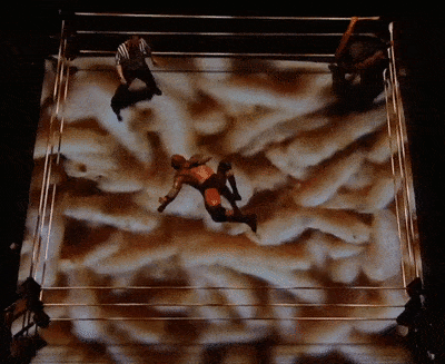 Bray Wyatt vs. Randy Orton at WrestleMania 33