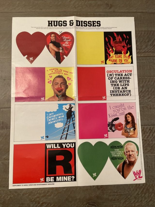 Valentines Day poster WWE