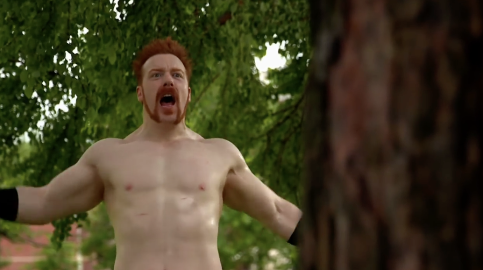 sheamus-in-1-800-fella-the-worst-of-wwe