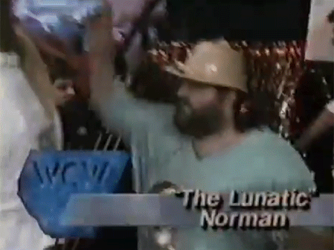 Norman the Lunatic