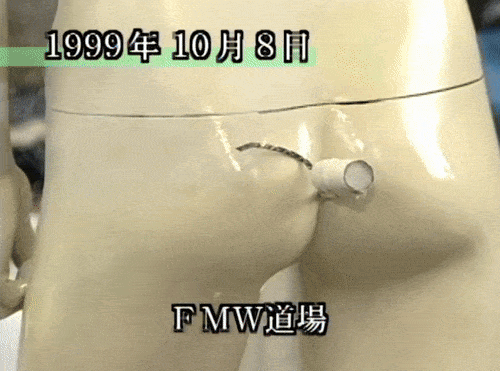 Hayabusa conducts scientific research by lighting a firecracker inside a mannequin's backside
