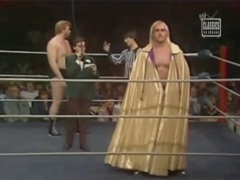 Hulk Hogan Hacksaw Jim Duggan