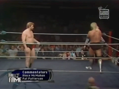 Hulk Hogan Hacksaw Jim Duggan