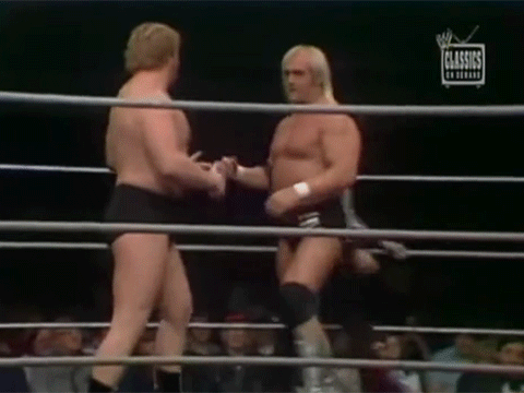Hulk Hogan Hacksaw Jim Duggan