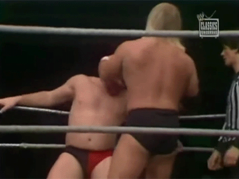 Hulk Hogan Hacksaw Jim Duggan