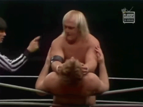 Hulk Hogan Hacksaw Jim Duggan