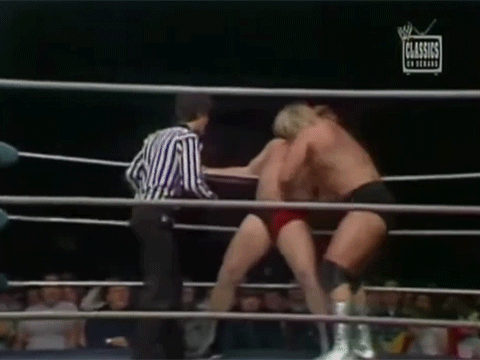 Hulk Hogan Hacksaw Jim Duggan