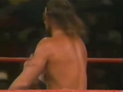 Randy Savage Shane Douglas