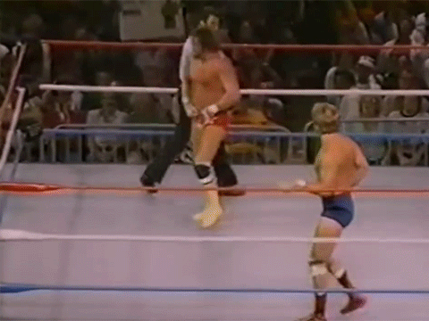 Randy Savage Shane Douglas