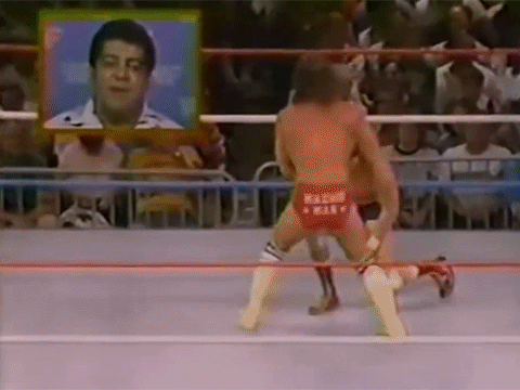 Randy Savage Shane Douglas