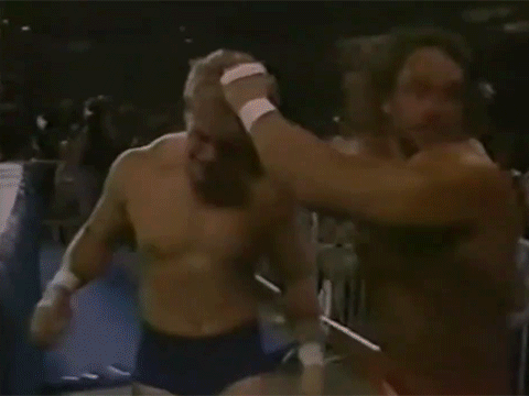 Randy Savage Shane Douglas