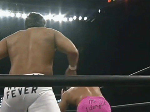 Paul Orndorff Disco Inferno Mr. Wonderful