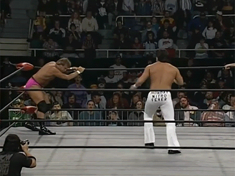 Paul Orndorff Disco Inferno Mr. Wonderful