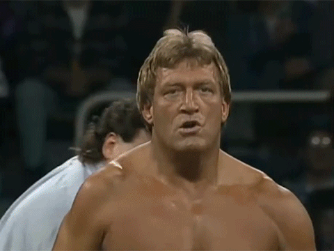 Paul Orndorff Disco Inferno Mr. Wonderful