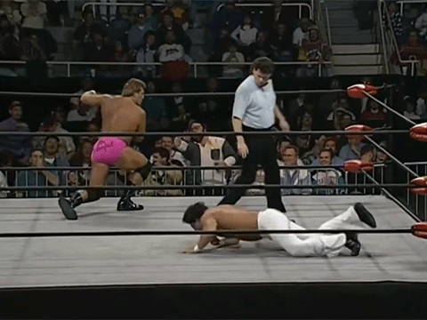 Paul Orndorff Disco Inferno Mr. Wonderful