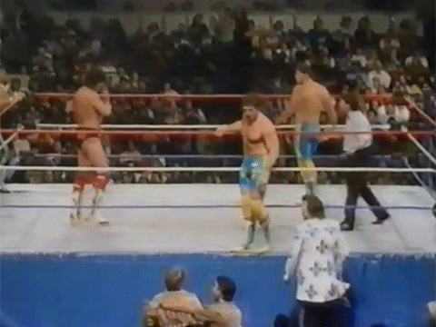 Fabulous Rougeau Brothers