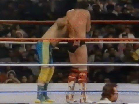 Fabulous Rougeau Brothers
