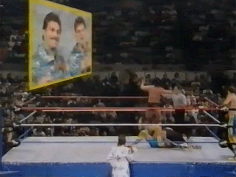 Fabulous Rougeau Brothers