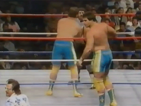 Fabulous Rougeau Brothers