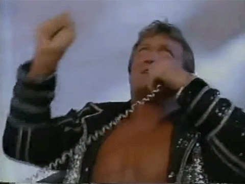 Paul Orndorff Gary Spivey