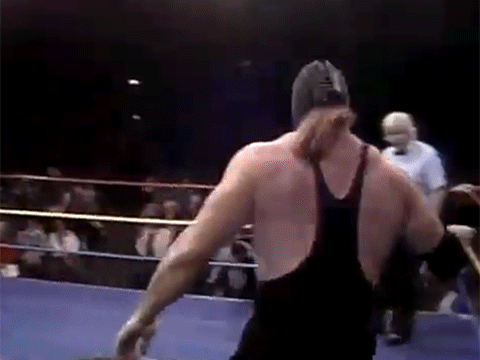 The Undertaker Stone Cold Steve Austin