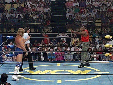 Hacksaw Duggan Craig Pittman