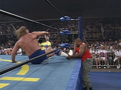 Hacksaw Duggan Craig Pittman