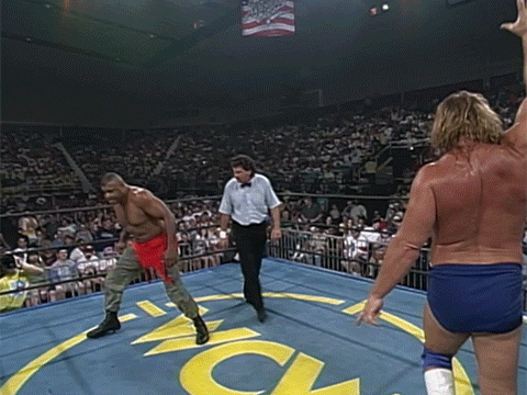 Hacksaw Duggan Craig Pittman