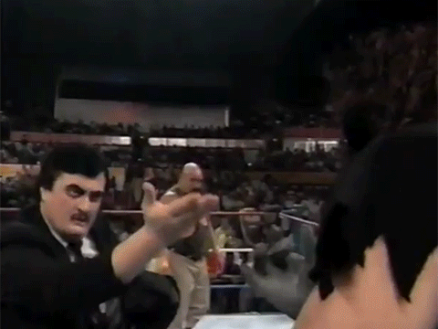 The Undertaker Iron Sheik