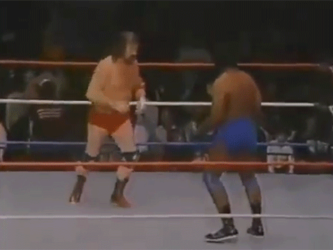Terry Funk Michael Jackson