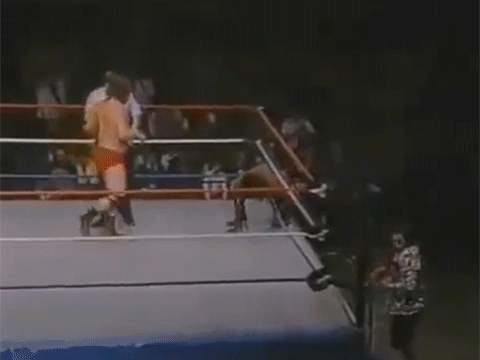Terry Funk Michael Jackson