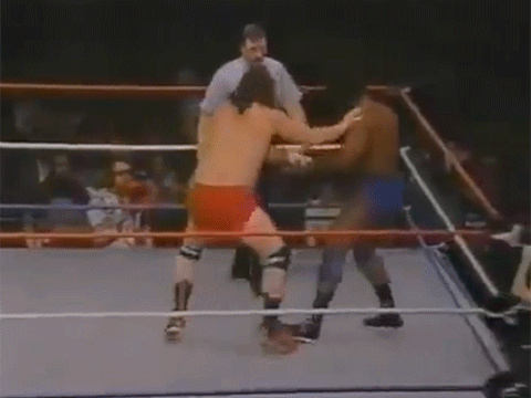 Terry Funk Michael Jackson