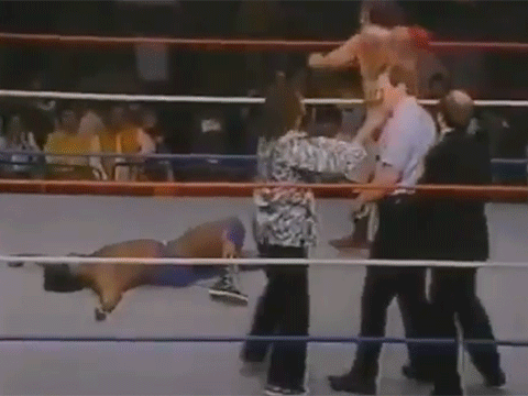 Terry Funk Michael Jackson