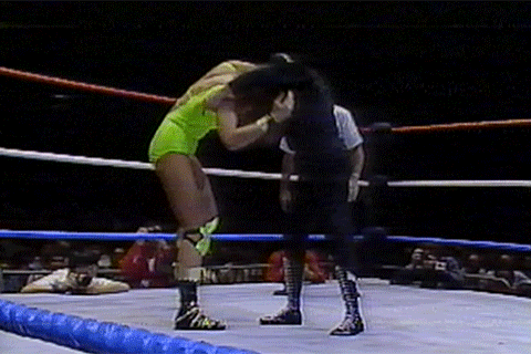 Coliseum Home Video Women of the WWF