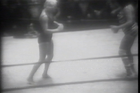 Coliseum Home Video Women of the WWF