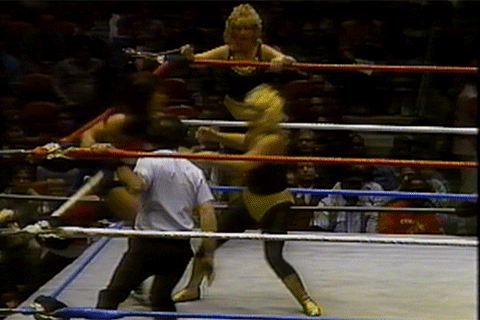 Coliseum Home Video Women of the WWF