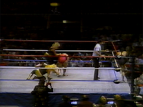 Coliseum Home Video Women of the WWF