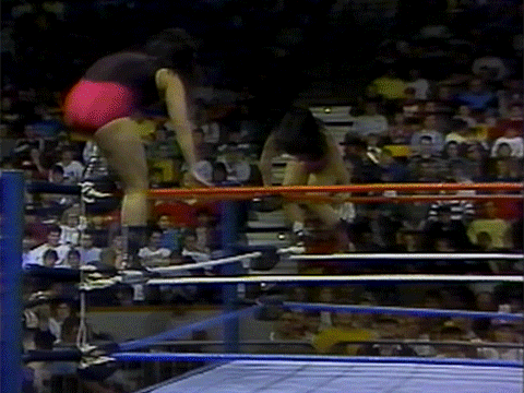 Coliseum Home Video Women of the WWF