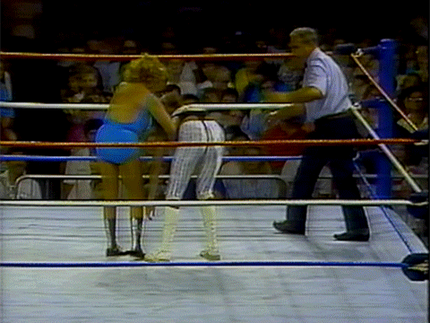 Coliseum Home Video Women of the WWF