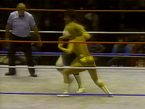 Coliseum Home Video Women of the WWF