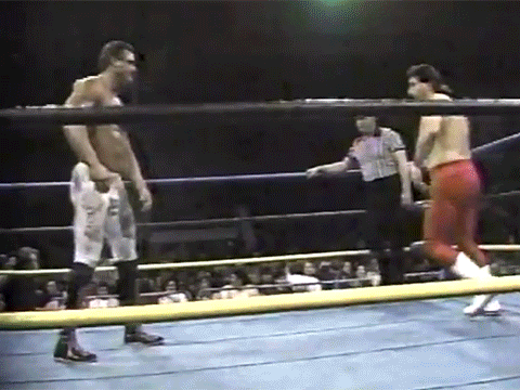 Rick Rude Diamond Dan Garza